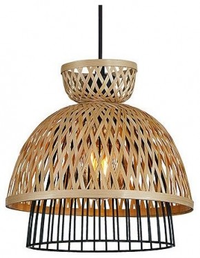 Подвесной светильник Arte Lamp Woodstock A7070SP-1BK в Златоусте - zlatoust.ok-mebel.com | фото 2