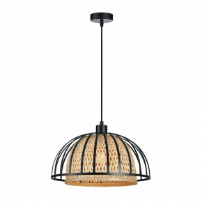 Подвесной светильник Arte Lamp Woodstock A7071SP-1BK в Златоусте - zlatoust.ok-mebel.com | фото