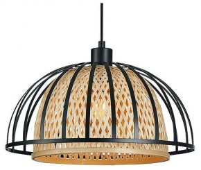 Подвесной светильник Arte Lamp Woodstock A7071SP-1BK в Златоусте - zlatoust.ok-mebel.com | фото 2