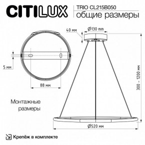 Подвесной светильник Citilux Trio CL215B050 в Златоусте - zlatoust.ok-mebel.com | фото 9