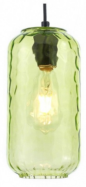 Подвесной светильник Escada Rise 10177/1S Black/Green в Златоусте - zlatoust.ok-mebel.com | фото 1