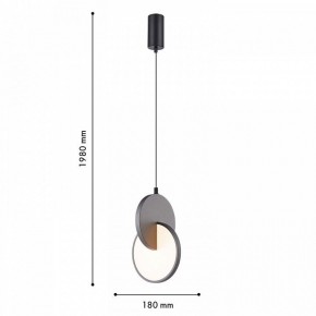 Подвесной светильник F-promo Grahan 4609-1P в Златоусте - zlatoust.ok-mebel.com | фото 4