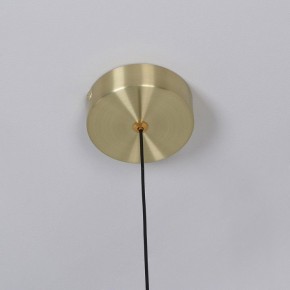 Подвесной светильник Favourite Luna 4370-1P в Златоусте - zlatoust.ok-mebel.com | фото 10