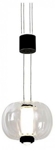 Подвесной светильник Favourite Lyfta 4493-1P в Златоусте - zlatoust.ok-mebel.com | фото