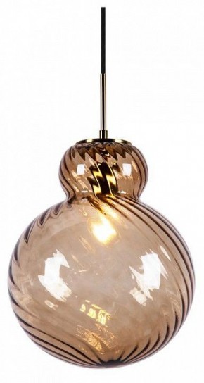 Подвесной светильник Favourite Ortus 4268-1P в Златоусте - zlatoust.ok-mebel.com | фото 1