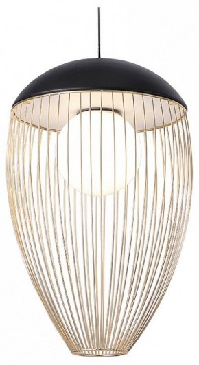 Подвесной светильник Favourite Сore 4241-1P в Златоусте - zlatoust.ok-mebel.com | фото 1