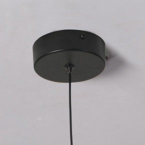 Подвесной светильник Favourite Wilet 4656-1P в Златоусте - zlatoust.ok-mebel.com | фото 10