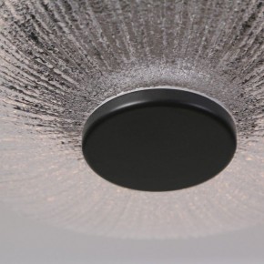 Подвесной светильник Favourite Wilet 4656-1P в Златоусте - zlatoust.ok-mebel.com | фото 4