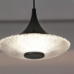Подвесной светильник Favourite Wilet 4656-1P в Златоусте - zlatoust.ok-mebel.com | фото 9