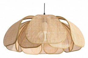 Подвесной светильник Freya Cocoon FR5529PL-01B в Златоусте - zlatoust.ok-mebel.com | фото