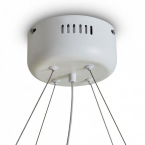 Подвесной светильник Freya Rain FR5546PL-L60W в Златоусте - zlatoust.ok-mebel.com | фото 9