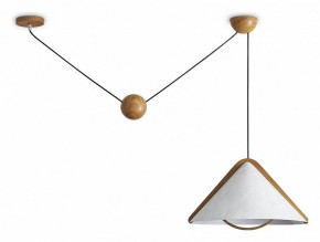 Подвесной светильник Freya Umbra FR5554CL-01T в Златоусте - zlatoust.ok-mebel.com | фото