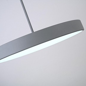 Подвесной светильник Imperiumloft TURNA Gray TURNA-ONE01 в Златоусте - zlatoust.ok-mebel.com | фото 9