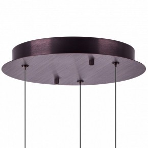 Подвесной светильник Lightstar Caramello 796139 в Златоусте - zlatoust.ok-mebel.com | фото 13
