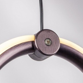 Подвесной светильник Lightstar Caramello 796349 в Златоусте - zlatoust.ok-mebel.com | фото 10