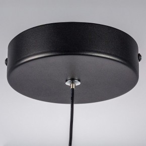 Подвесной светильник Lightstar Saturno 749017 в Златоусте - zlatoust.ok-mebel.com | фото 12