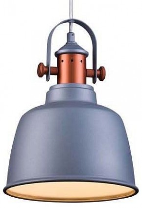 Подвесной светильник Lucia Tucci Industrial INDUSTRIAL 1820.1 SAND SILVER в Златоусте - zlatoust.ok-mebel.com | фото