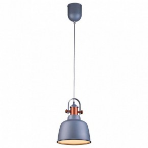 Подвесной светильник Lucia Tucci Industrial INDUSTRIAL 1820.1 SAND SILVER в Златоусте - zlatoust.ok-mebel.com | фото 2