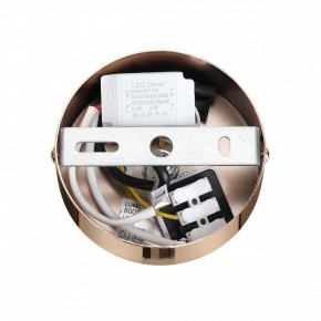 Подвесной светильник Lumion Cristie 8009/6L в Златоусте - zlatoust.ok-mebel.com | фото 6