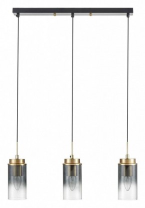 Подвесной светильник Lumion Isha 8101/3A в Златоусте - zlatoust.ok-mebel.com | фото 6