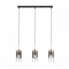 Подвесной светильник Lumion Isha 8101/3A в Златоусте - zlatoust.ok-mebel.com | фото 7