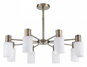 Подвесной светильник Lumion Mave 8100/8C в Златоусте - zlatoust.ok-mebel.com | фото