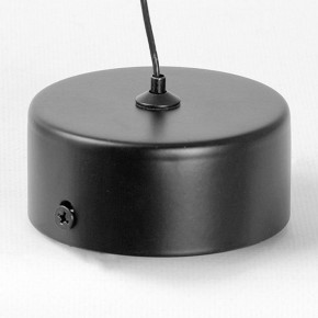 Подвесной светильник Lussole Blount LSP-7356 в Златоусте - zlatoust.ok-mebel.com | фото 6