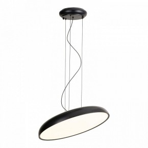 Подвесной светильник Lussole Crook LSP-7360 в Златоусте - zlatoust.ok-mebel.com | фото 2