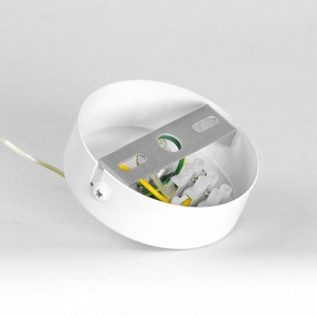 Подвесной светильник Lussole Gregg LSP-8964 в Златоусте - zlatoust.ok-mebel.com | фото 7