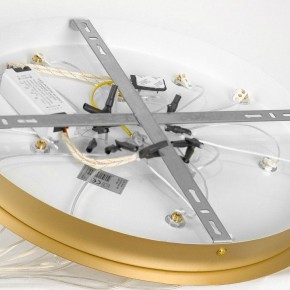 Подвесной светильник Lussole Hopkins LSP-7404 в Златоусте - zlatoust.ok-mebel.com | фото 4