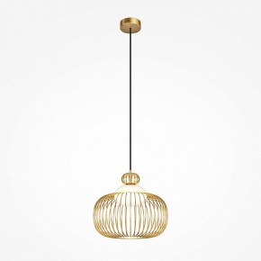 Подвесной светильник Maytoni Levitation MOD376PL-01G в Златоусте - zlatoust.ok-mebel.com | фото 2