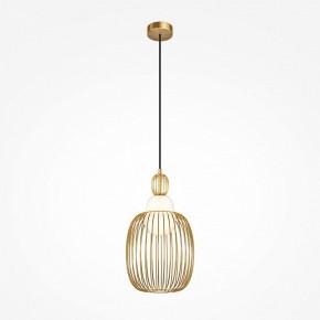 Подвесной светильник Maytoni Levitation MOD376PL-01G1 в Златоусте - zlatoust.ok-mebel.com | фото 2
