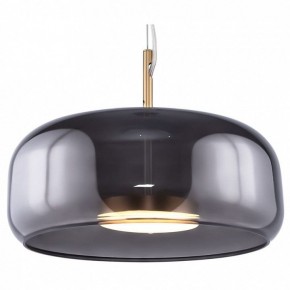 Подвесной светильник Maytoni Madmen MOD127PL-L6SG в Златоусте - zlatoust.ok-mebel.com | фото