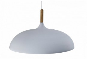 Подвесной светильник Moderli Hygo V11447-1P в Златоусте - zlatoust.ok-mebel.com | фото