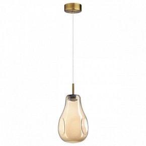 Подвесной светильник Odeon Light Nave 5098/4L в Златоусте - zlatoust.ok-mebel.com | фото 4
