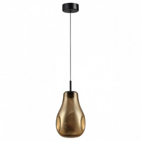 Подвесной светильник Odeon Light Nave 5098/4LA в Златоусте - zlatoust.ok-mebel.com | фото 4