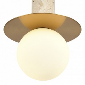 Подвесной светильник ST-Luce Earthy SL1194.303.01 в Златоусте - zlatoust.ok-mebel.com | фото 5