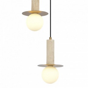 Подвесной светильник ST-Luce Earthy SL1194.303.03 в Златоусте - zlatoust.ok-mebel.com | фото 4