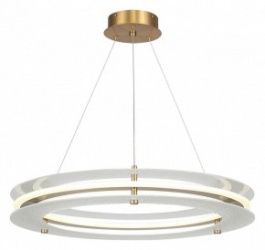 Подвесной светильник ST-Luce FAGY SL6245.203.01 в Златоусте - zlatoust.ok-mebel.com | фото 2
