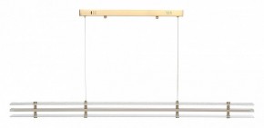 Подвесной светильник ST-Luce FAGY SL6245.223.01 в Златоусте - zlatoust.ok-mebel.com | фото 3