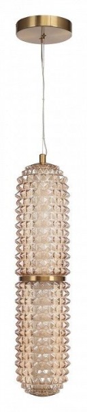Подвесной светильник ST-Luce SAGUARO SL6144.303.01 в Златоусте - zlatoust.ok-mebel.com | фото 3