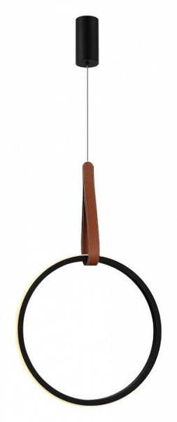 Подвесной светильник ST-Luce Shape SL6131.403.20 в Златоусте - zlatoust.ok-mebel.com | фото 2