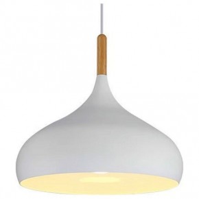 Подвесной светильник TopDecor Molto Molto S2 10 в Златоусте - zlatoust.ok-mebel.com | фото