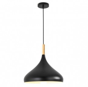 Подвесной светильник TopDecor Molto Molto S2 12 в Златоусте - zlatoust.ok-mebel.com | фото