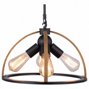 Подвесной светильник TopLight Jasmin TL1179H-04BK в Златоусте - zlatoust.ok-mebel.com | фото