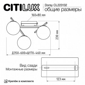 Потолочная люстра Citilux Dorsy CL223132 в Златоусте - zlatoust.ok-mebel.com | фото 12