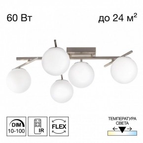 Потолочная люстра Citilux Dorsy CL223151 в Златоусте - zlatoust.ok-mebel.com | фото 2