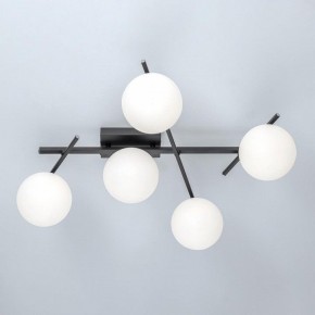 Потолочная люстра Citilux Dorsy CL223152 в Златоусте - zlatoust.ok-mebel.com | фото 6