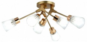 Потолочная люстра Escada Felicia 1137/6P в Златоусте - zlatoust.ok-mebel.com | фото 2