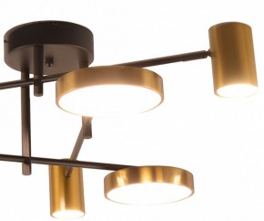 Потолочная люстра Kink Light Рапис 07645-6D,19(20) в Златоусте - zlatoust.ok-mebel.com | фото 2